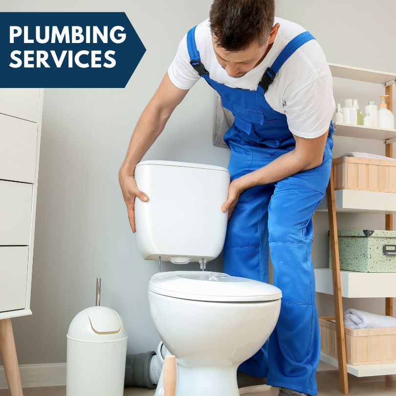 Plumbing Company in Alledonia, OH